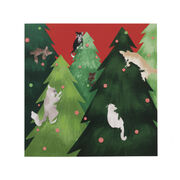 Tianna Barnes Cat Christmas cards (pack of 6)