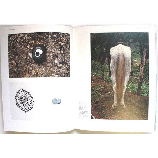 Gabriel Orozco (modern artist series) | Books | Tate Shop | Tate
