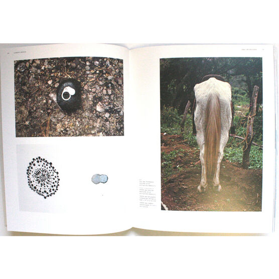 Gabriel Orozco (modern artist series)