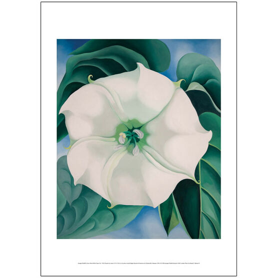 Disse Turbulens skræmt Georgia O'Keeffe Jimson Weed, White Flower No.1 poster | Tate