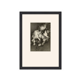 Iwata Nakayama Composition (Butterflies) A4 framed print