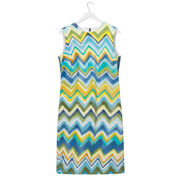 Lisa Milroy chevron Summer Collection dress