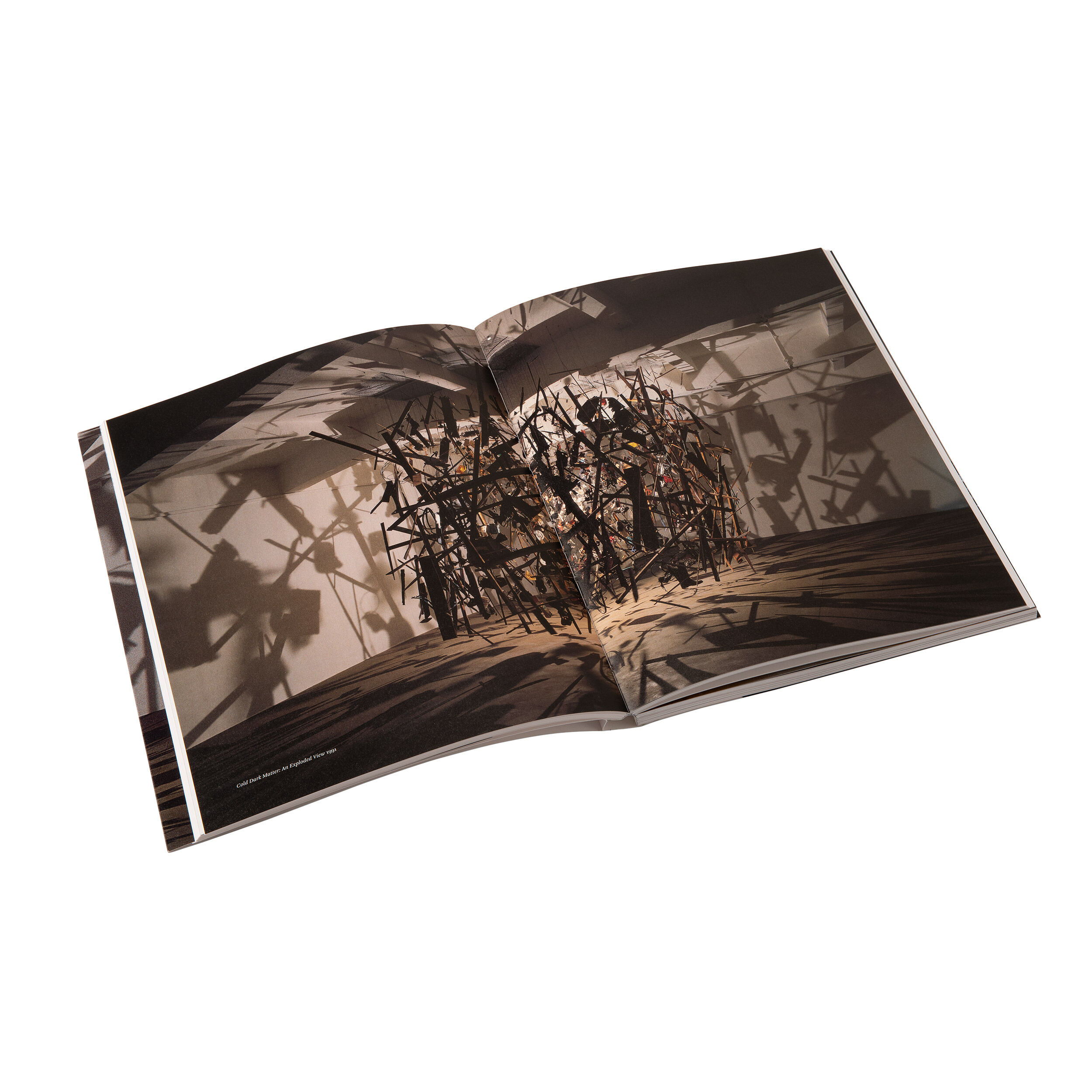 Cornelia Parker exhibition book | Books | Tate Shop | Tate