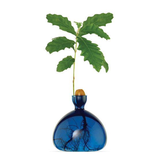 Lapis blue acorn vase