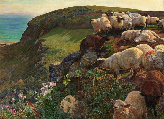 Hunt: Our English Coasts