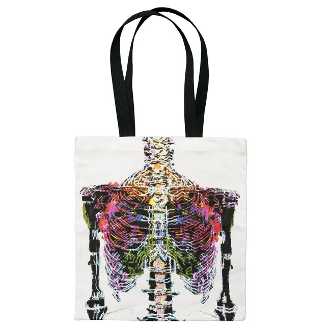 Bag within a bag sale