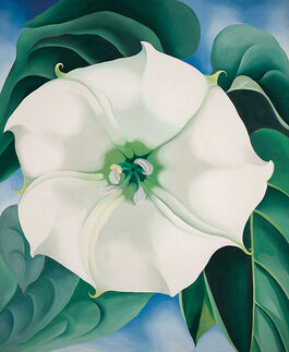 O'Keeffe: Jimson Weed, White Flower No.1