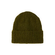 Reykjavik green beanie