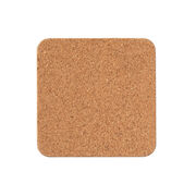 Frida Kahlo The Frame coaster