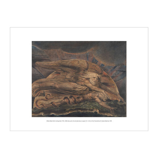 William Blake Elohim Creating Adam exhibition print