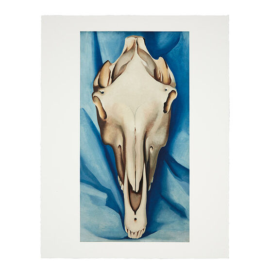 Georgia O Keeffe Horse Skull On Blue Folio Tate