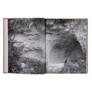 Ana Mendieta exhibition book