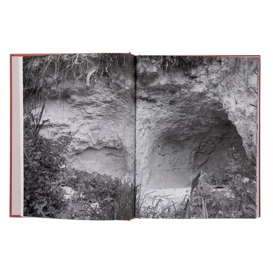 Ana Mendieta exhibition book