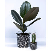 Black terrazzo plant pot