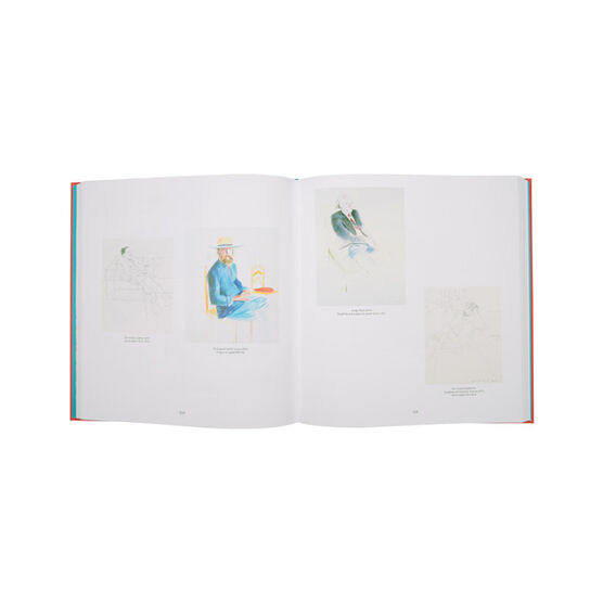 David Hockney (Hardback)
