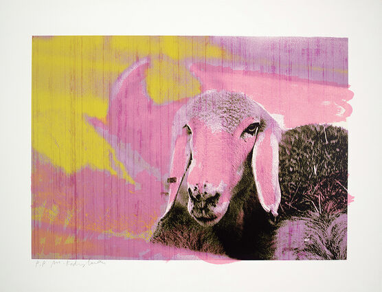 Menashe Kadishman: Sheep Head B
