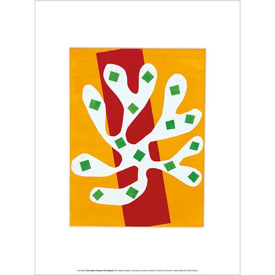 Henri Matisse White Alga on Orange and Red Background (exhibition print)