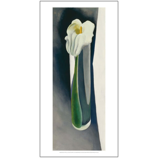 Georgia O'Keeffe Calla Lily in Tall Glass - No. 2 (50 x 100 poster)