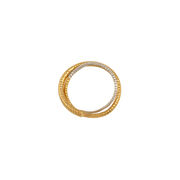 Salt orbit ring