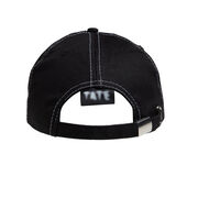Souvenir of a Modern Artist cap
