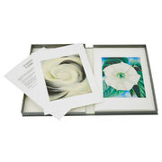 Georgia O'Keeffe Portfolio