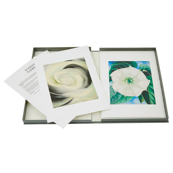 Georgia O'Keeffe Portfolio