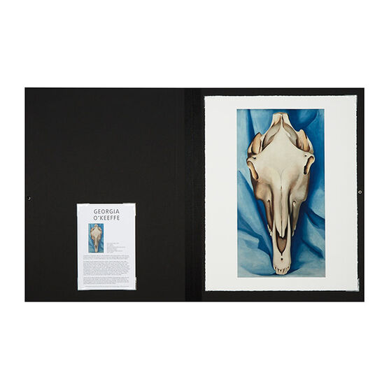Georgia O'Keeffe Horse Skull on Blue (Folio)