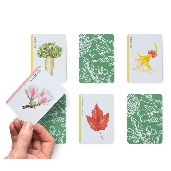 Tree Families card game