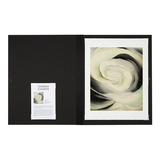 Georgia O'Keeffe Abstraction White Rose (Folio)