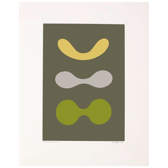 Contrasted Curves (Yellow/Grey/Green) limited edition