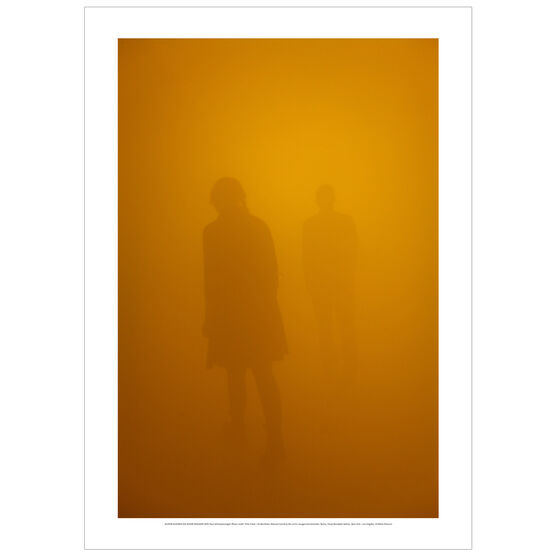 Olafur Eliasson: Din blinde passenger, 2010 poster