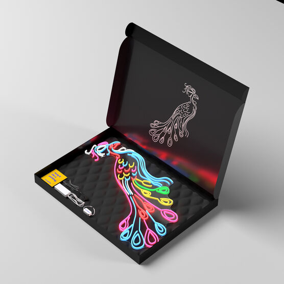 Chila Kumari Singh Burman Peacock neon light
