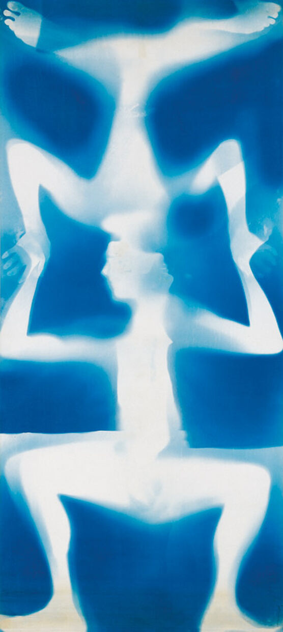 Rauschenberg: Untitled [double Rauschenberg]