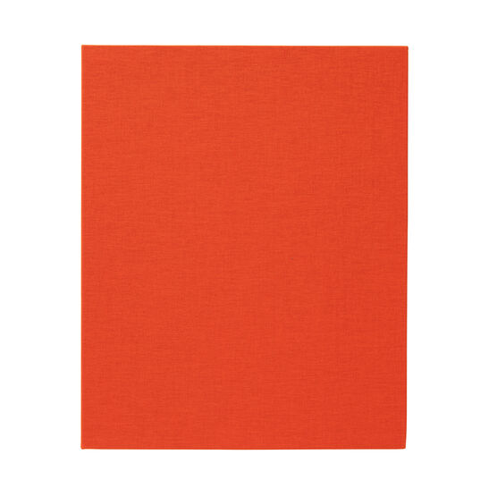 Hurvin Anderson limited edition book