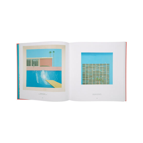 David Hockney (Hardback)