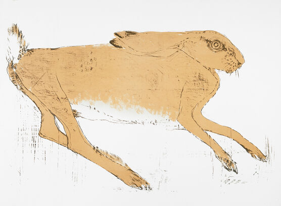 Elisabeth Frink: Hare