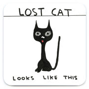David Shrigley coaster set
