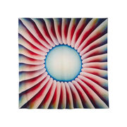 Judy Chicago Through the Flower silk scarf