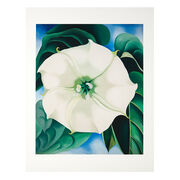 Georgia O'Keeffe Jimson Weed, White Flower No.1 (Folio)