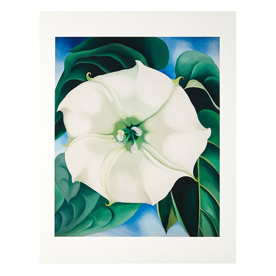 Georgia O'Keeffe Jimson Weed, White Flower No.1 (Folio)