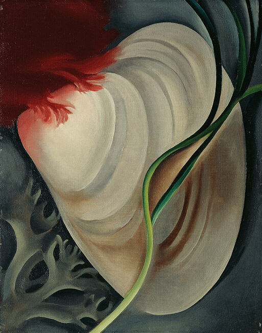 O'Keeffe: Shell No. 2, 1928 | Custom prints | Tate Shop | Tate