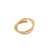 Salt orbit ring
