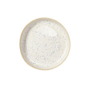 Speckled ceramic plate