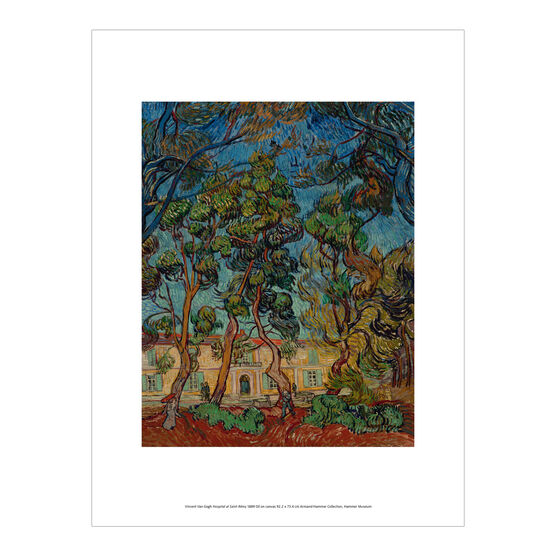 Vincent van Gogh: Hospital at Saint-Rémy exhibition print