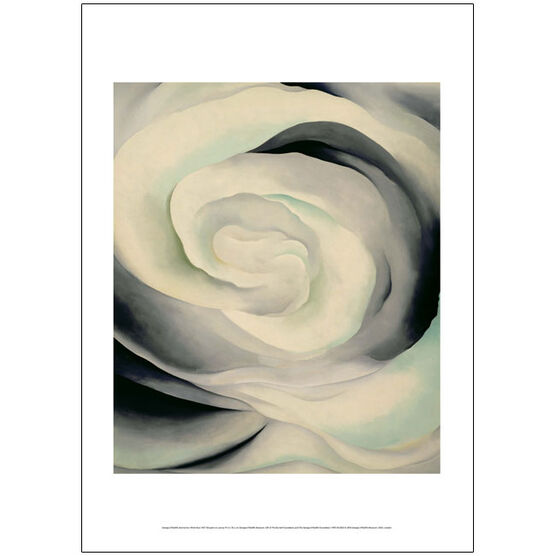 Georgia O'Keeffe Abstraction White Rose poster | Tate