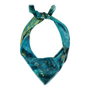 Van Gogh Starry Night over the Rhône silk scarf