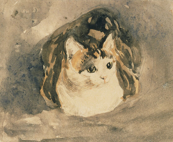 John: Cat