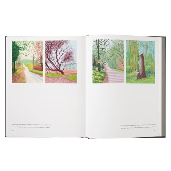 David Hockney: Moving Focus inside pages