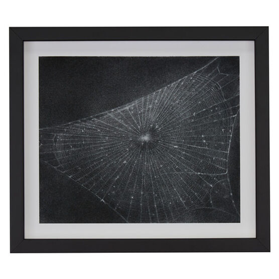 Vija Celmins Web #1 (framed print)