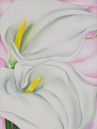 O'Keeffe: Two Calla Lilies on Pink